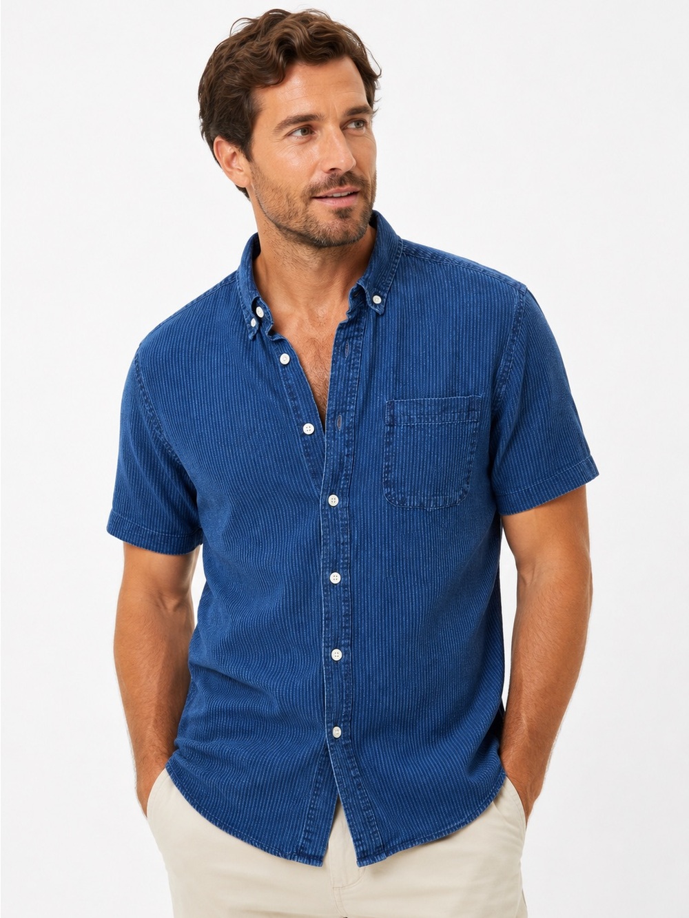 Taylor Stitch Stripe Denim Short Sleeve Button Down